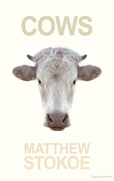 Matthew Stokoe Book Collection