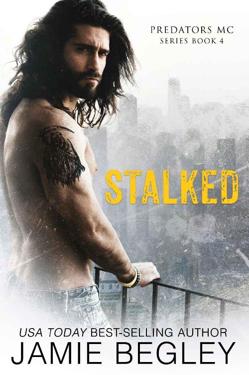 Jamie Bagley 5 Books (epub,mobi)