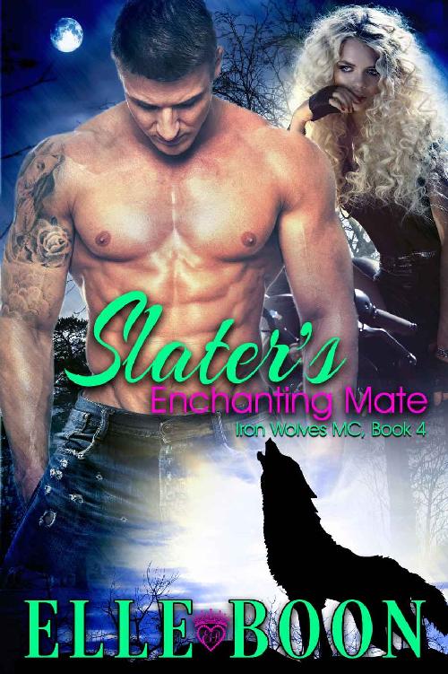 Elle Boon 40+ eBooks Collection (epub,mobi)