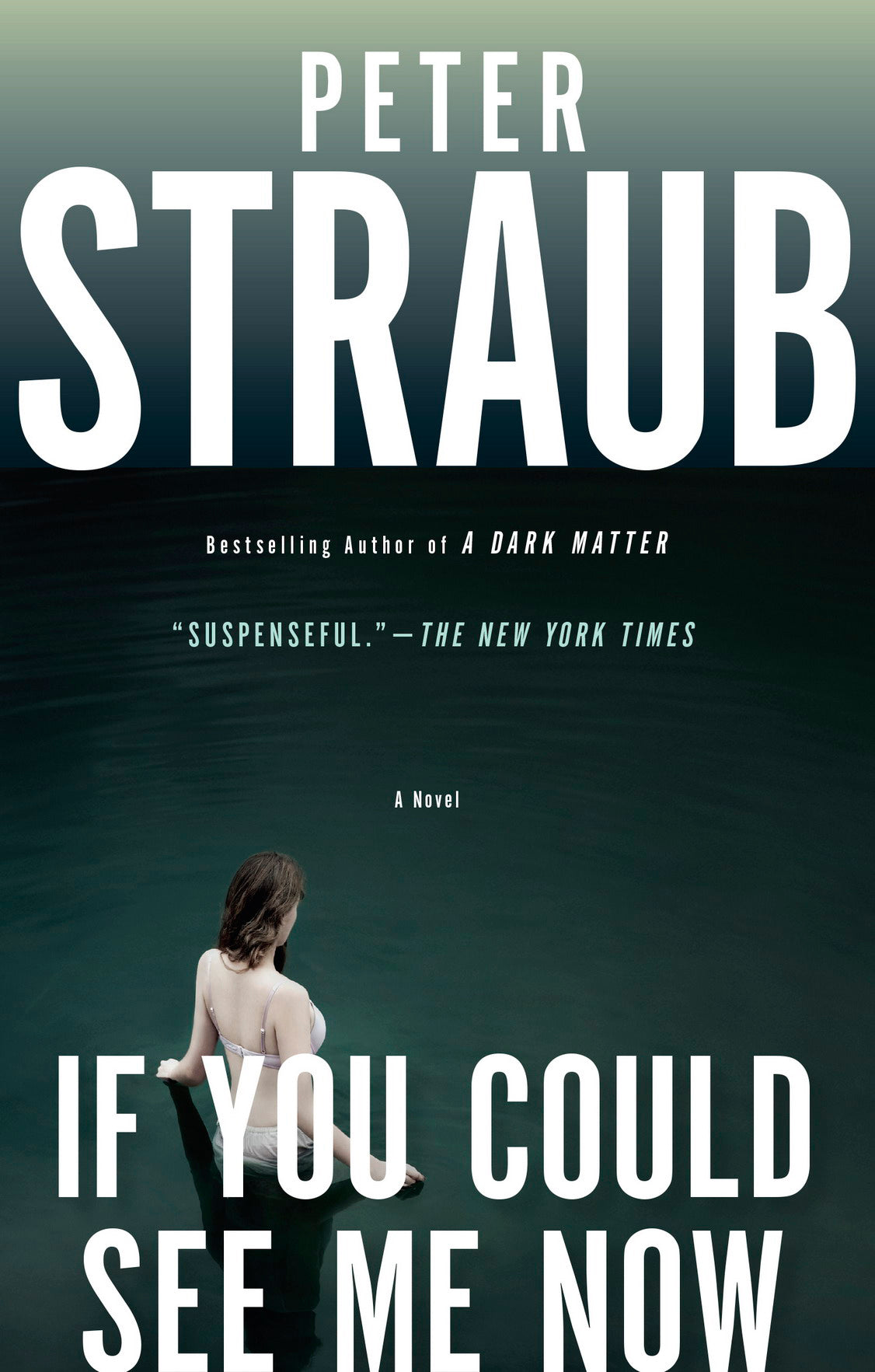 Peter Straub eBooks Collection (epub,mobi)