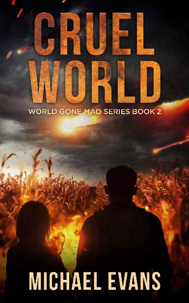 Michael Evans eBooks Collection (epub,mobi)